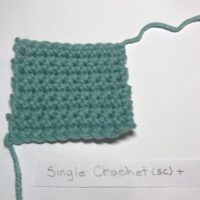 
        <span class='ee-status ee-status-bg--DTE event-active-status-DTE'>
            Expired
        </span >Beginner Crochet 1:  Mastering the stitches