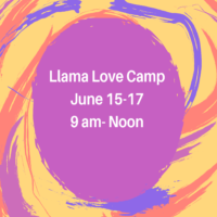 
        <span class='event-active-status event-active-status-DTE ee-status ee-status-bg--DTE'>
            Expired
        </span >Llama Love Camp