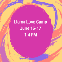 
        <span class='event-active-status event-active-status-DTE ee-status ee-status-bg--DTE'>
            Expired
        </span >Llama Love Camp PM Session